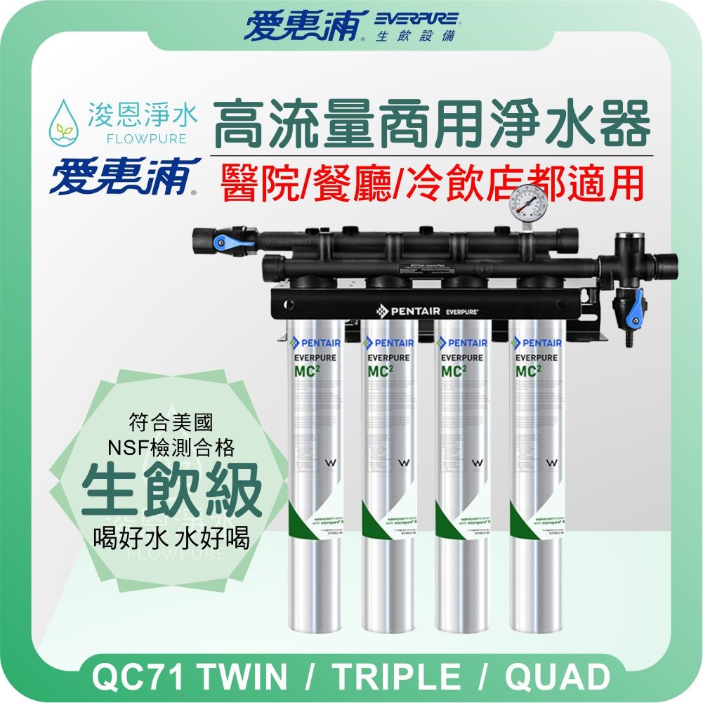 EVERPURE 愛惠浦 QC71 多聯系統 商用高流量淨水器