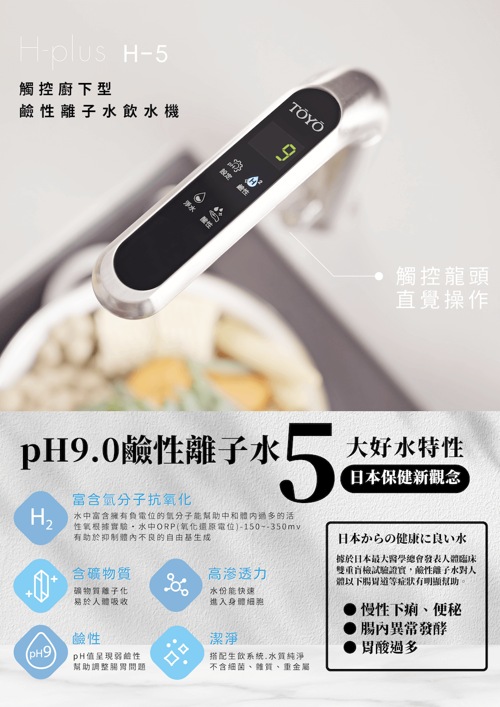 TOYO 東洋歐帝克 H-5 廚下一體 鹼性離子水飲水機