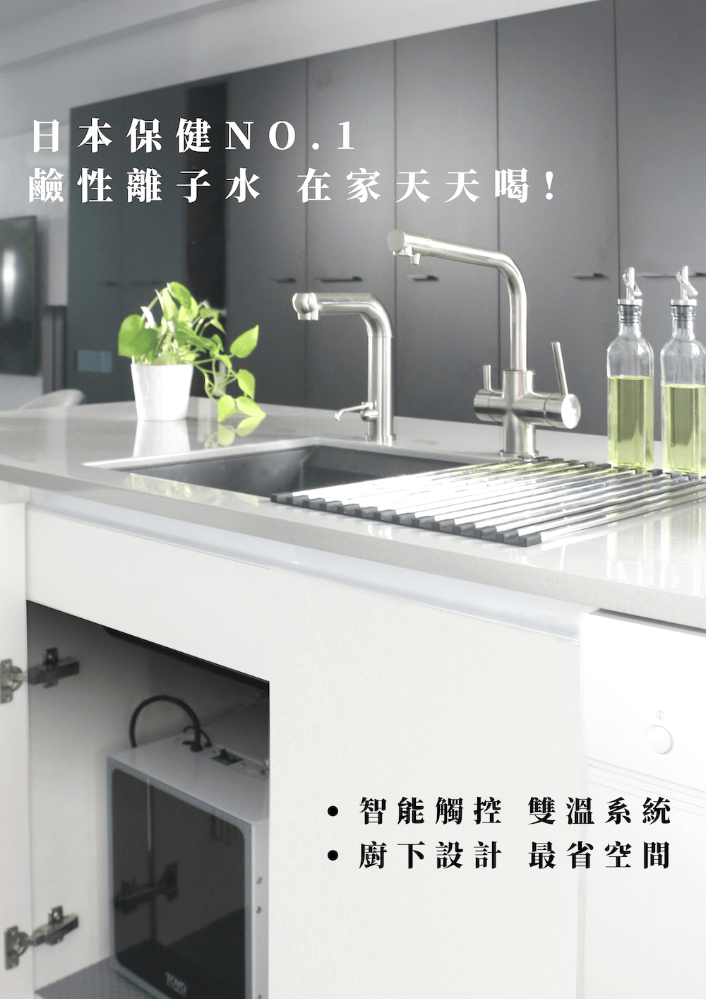 TOYO 東洋歐帝克 H-8 廚下一體 雙溫鹼性離子水飲水機