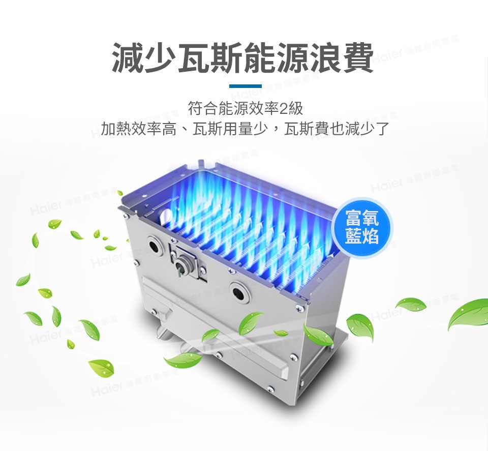 DC6 強排恆溫熱水器 天然氣專用